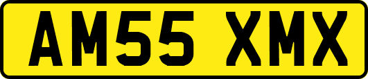 AM55XMX