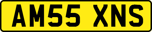 AM55XNS