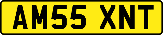 AM55XNT