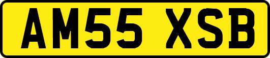 AM55XSB
