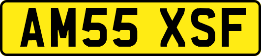 AM55XSF