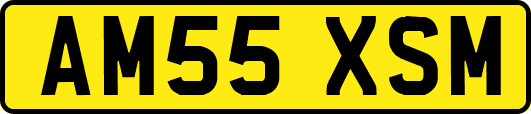 AM55XSM