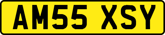 AM55XSY