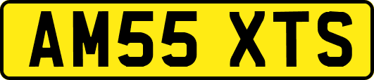 AM55XTS