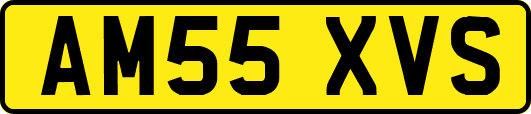 AM55XVS