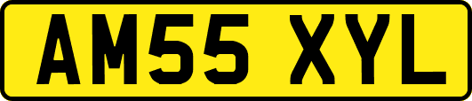 AM55XYL