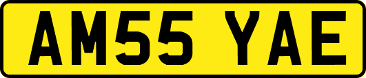 AM55YAE