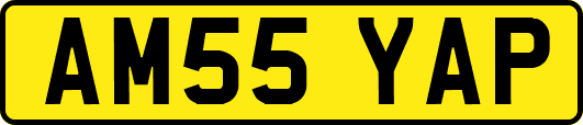 AM55YAP