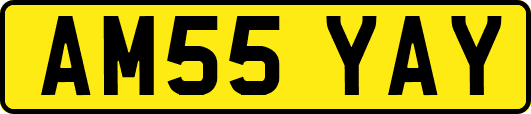 AM55YAY