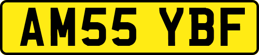 AM55YBF