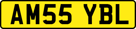 AM55YBL
