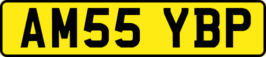 AM55YBP