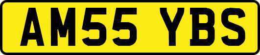 AM55YBS