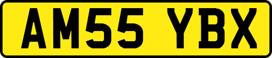 AM55YBX