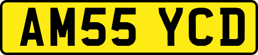 AM55YCD