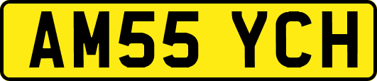 AM55YCH