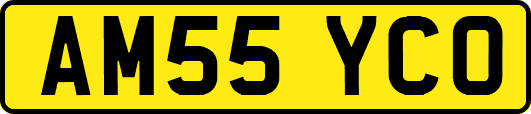 AM55YCO