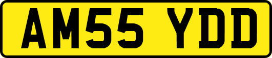 AM55YDD