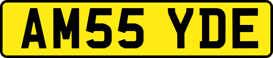AM55YDE