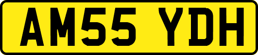 AM55YDH