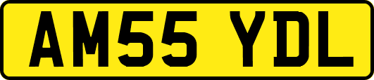 AM55YDL