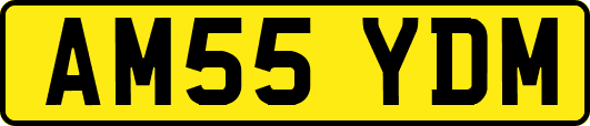 AM55YDM
