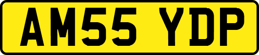 AM55YDP