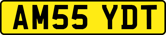 AM55YDT