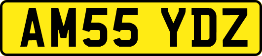 AM55YDZ