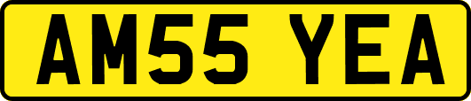 AM55YEA
