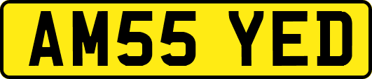 AM55YED