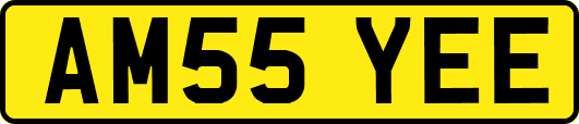 AM55YEE