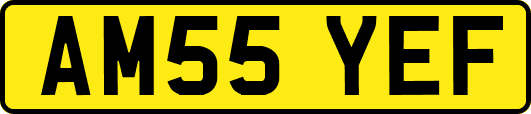 AM55YEF