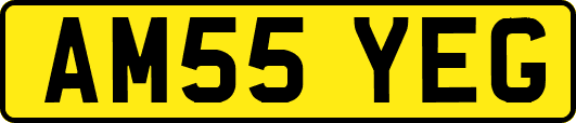 AM55YEG