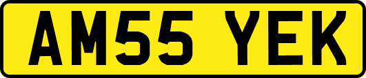 AM55YEK