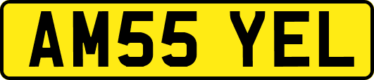 AM55YEL