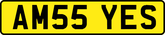 AM55YES