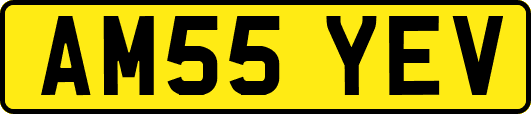 AM55YEV