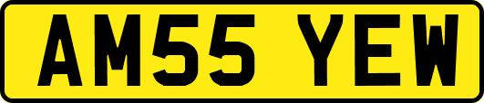 AM55YEW