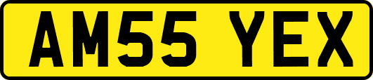 AM55YEX