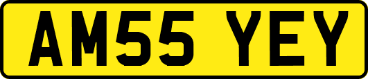 AM55YEY