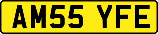 AM55YFE