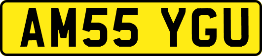 AM55YGU