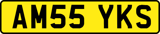 AM55YKS