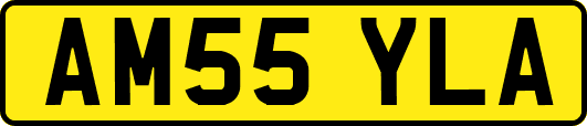 AM55YLA