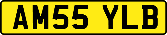 AM55YLB