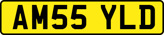 AM55YLD