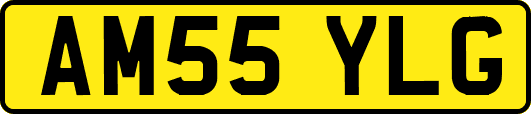 AM55YLG