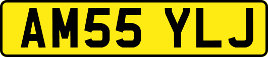 AM55YLJ