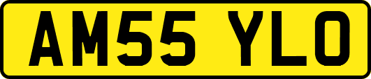 AM55YLO